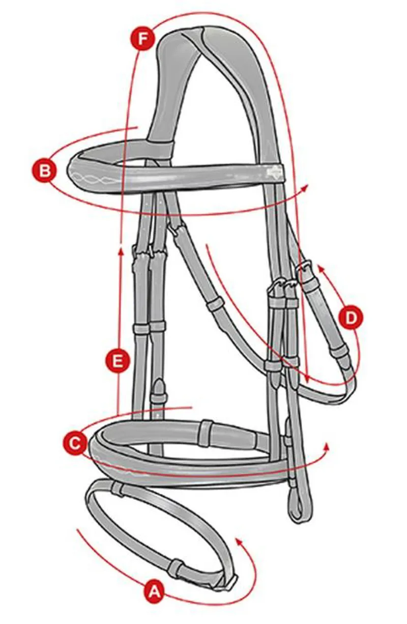 LeMieux Competition Bridle Size Guide